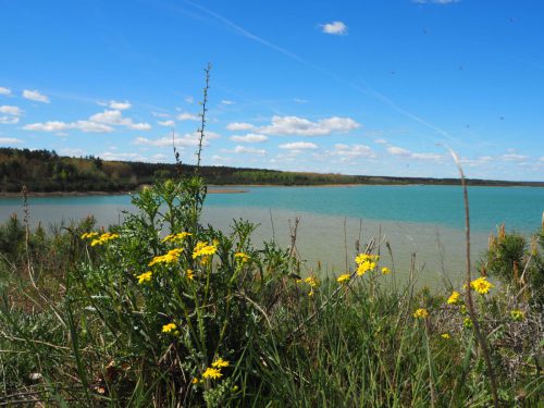 Blick auf den See